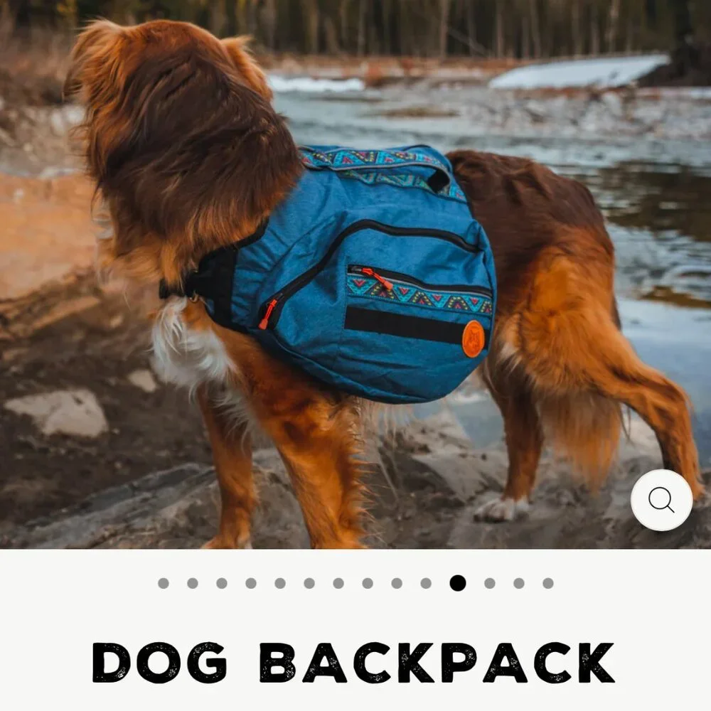 Blue Dog Backpack Saddle Bag for Hiking - Unbranded